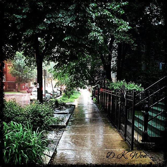 Chicago Rain_Fotor