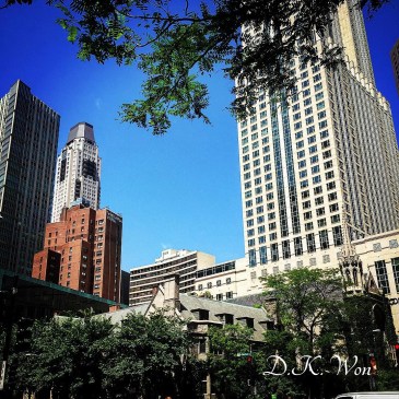 chicago architecture[1]