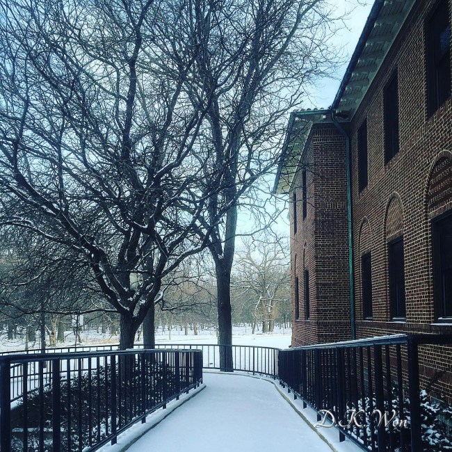 Nature Park_Always_[1]